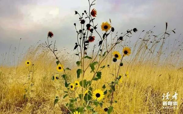 社交最大的災難,是不把自己當外人 社交最大的災難,是不把自己當外人