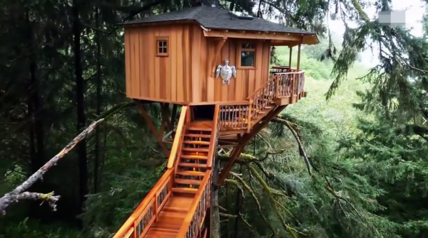 全程驚呼“老天爺”，國外女生接收樹屋滿目驚喜，這房子我給滿分