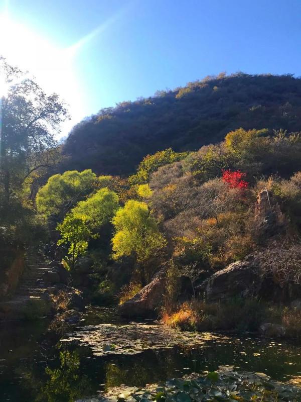 中秋時節到門頭溝賞秋，住民宿，來一段詩意之旅~