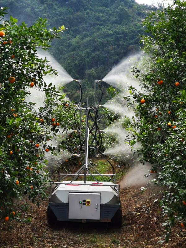 如何用最少的勞動力，管好果園、降低種植風險