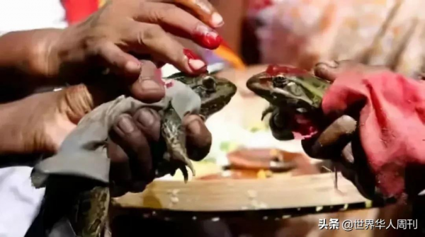 6名女孩被綁遊行:為了祈雨,印度人能有多拼? 6名女孩被綁遊行:為了祈雨,印度人能有多拼?