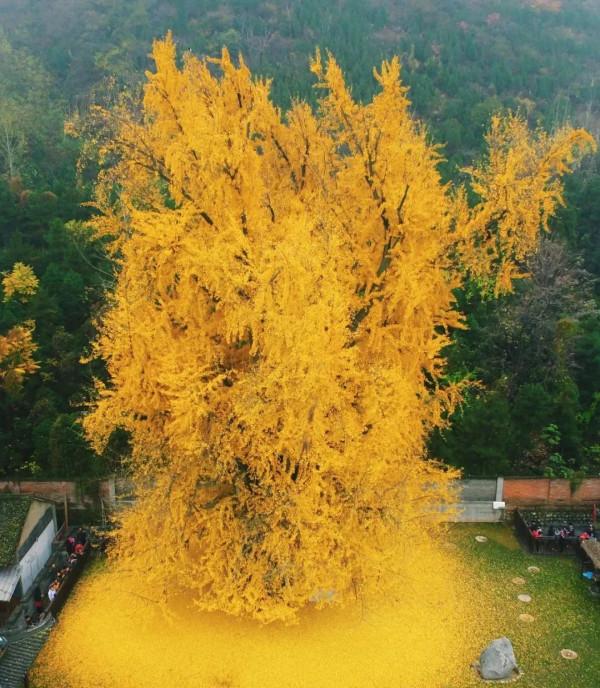 成年人玩得這麼野，小心把命都玩丟了