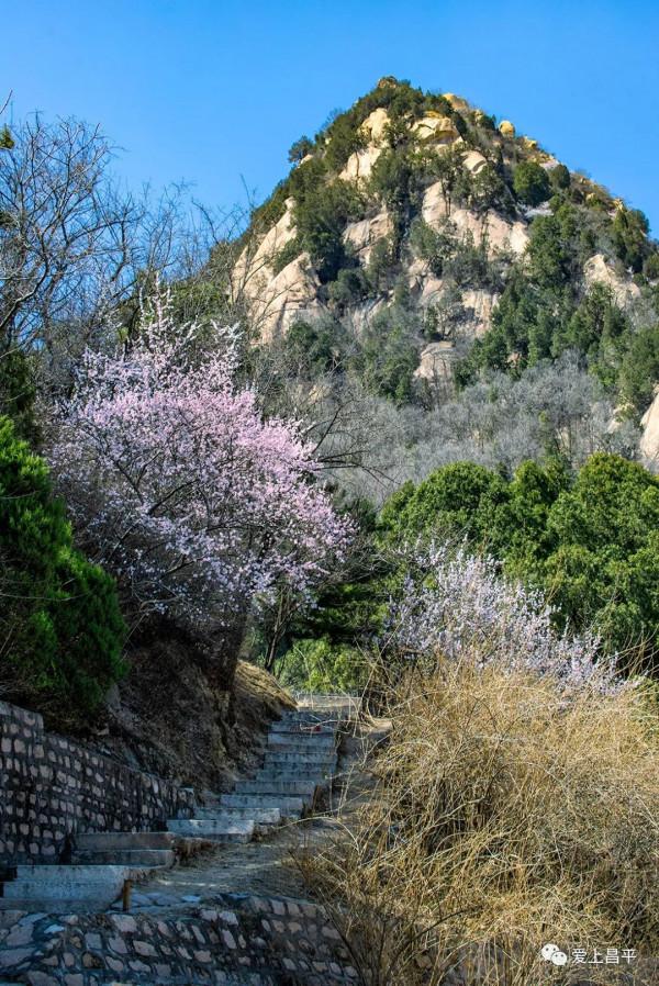 美成仙境的京郊延壽醉美公路，玩賞正當時！