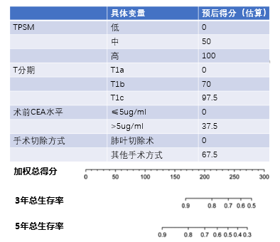 如何從病理報告瞭解，早期肺腺癌的手術療效？
