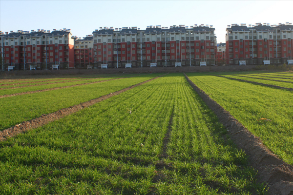 未來5-10年，買房認準“3選3不選”，不僅住得舒服，還容易轉手