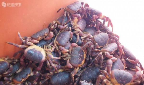 《貴州香辣蟹》 《貴州香辣蟹》