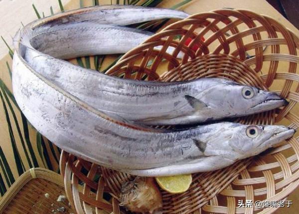 買帶魚:黑眼睛和黃眼睛哪種好?牢記3買4不買,帶魚新鮮味道正 買帶魚:黑眼睛和黃眼睛哪種好?牢記3買4不買,帶魚新鮮味道正