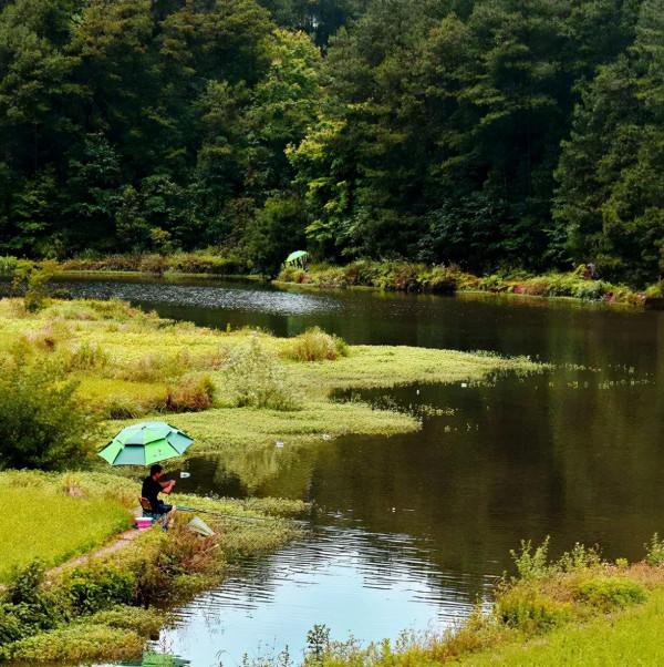 冬日暖陽,迴歸北緯29°康旅小鎮,吃刨豬湯、烤全羊逛大集辦年貨 冬日暖陽,迴歸北緯29°康旅小鎮,吃刨豬湯、烤全羊逛大集辦年貨