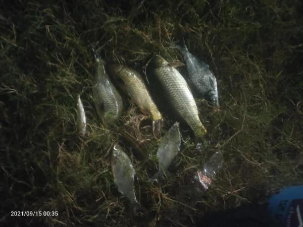 快樂釣魚人 快樂釣魚人