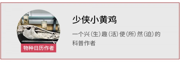 白堊紀的巨型裝甲艦,仍逃不過被吃的命運 白堊紀的巨型裝甲艦,仍逃不過被吃的命運