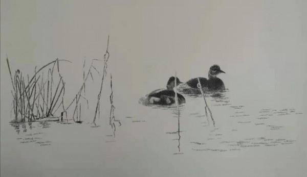 幸福原創畫吧2021年第四十二期畫友繪畫作品分享