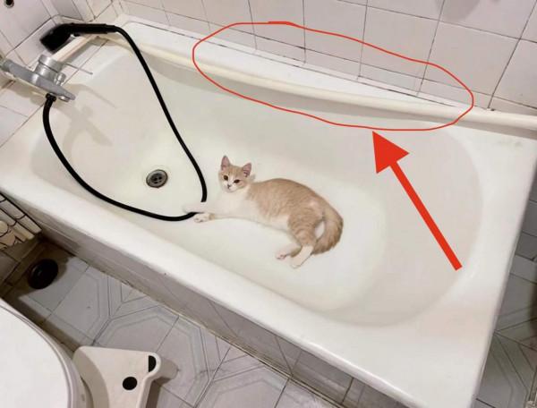 入住後就知道,衛生間“4不裝”有多爽,建議提前收藏 入住後就知道,衛生間“4不裝”有多爽,建議提前收藏