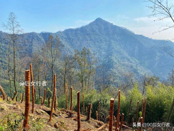 徒步成都大邑終南山，山高路遠無人煙，只有一座荒廢無人的道觀