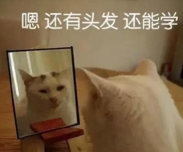 “文科生”VS“理科生”，日常行為詮釋差別，網友：真實且扎心