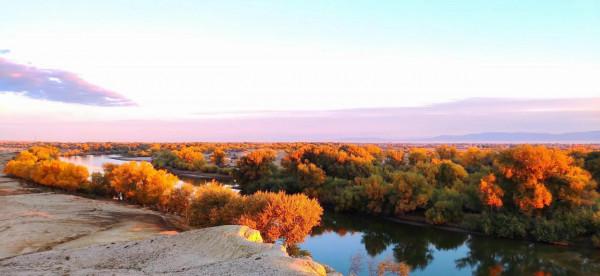 烏倫古湖邊撿到心儀的戈壁玉