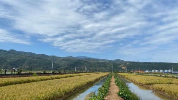 周總理嘉獎的岐山五丈原引水上原工程