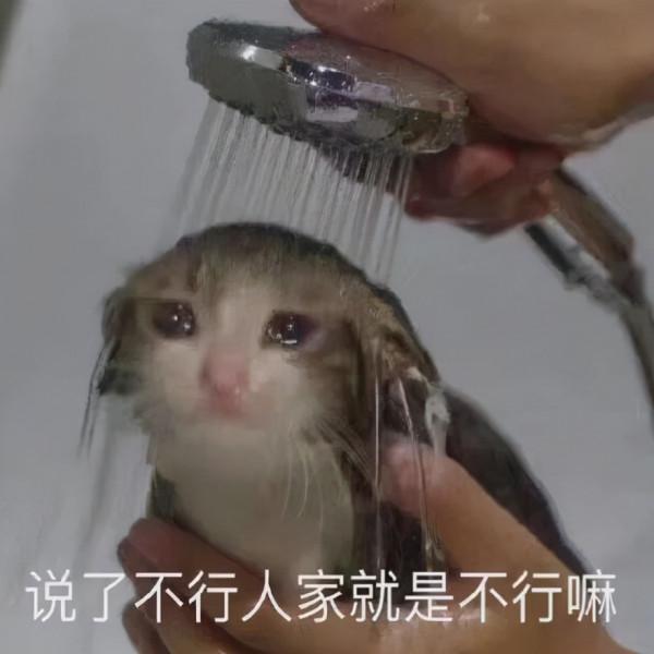 年末在家鼓搗點內蒙古美食,完成這趟舌尖美食之旅 年末在家鼓搗點內蒙古美食,完成這趟舌尖美食之旅