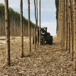 88個難得一見的照片，大象岩石，被章魚攻擊的海豚，飛行員眼鏡