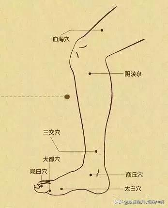 小孩身上的幾個“增高穴”,常按可以幫助長個兒 小孩身上的幾個“增高穴”,常按可以幫助長個兒