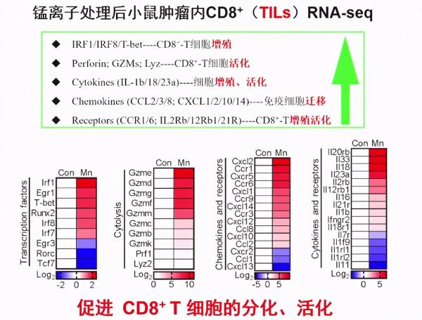 “錳”吃點，降低癌症發病率