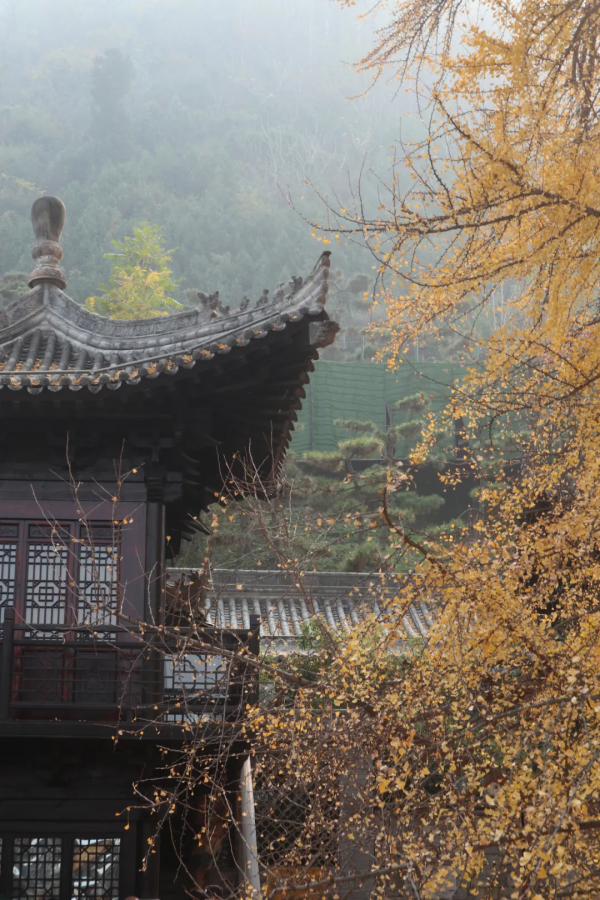 《12月限定丨國內旅行目的地指南》