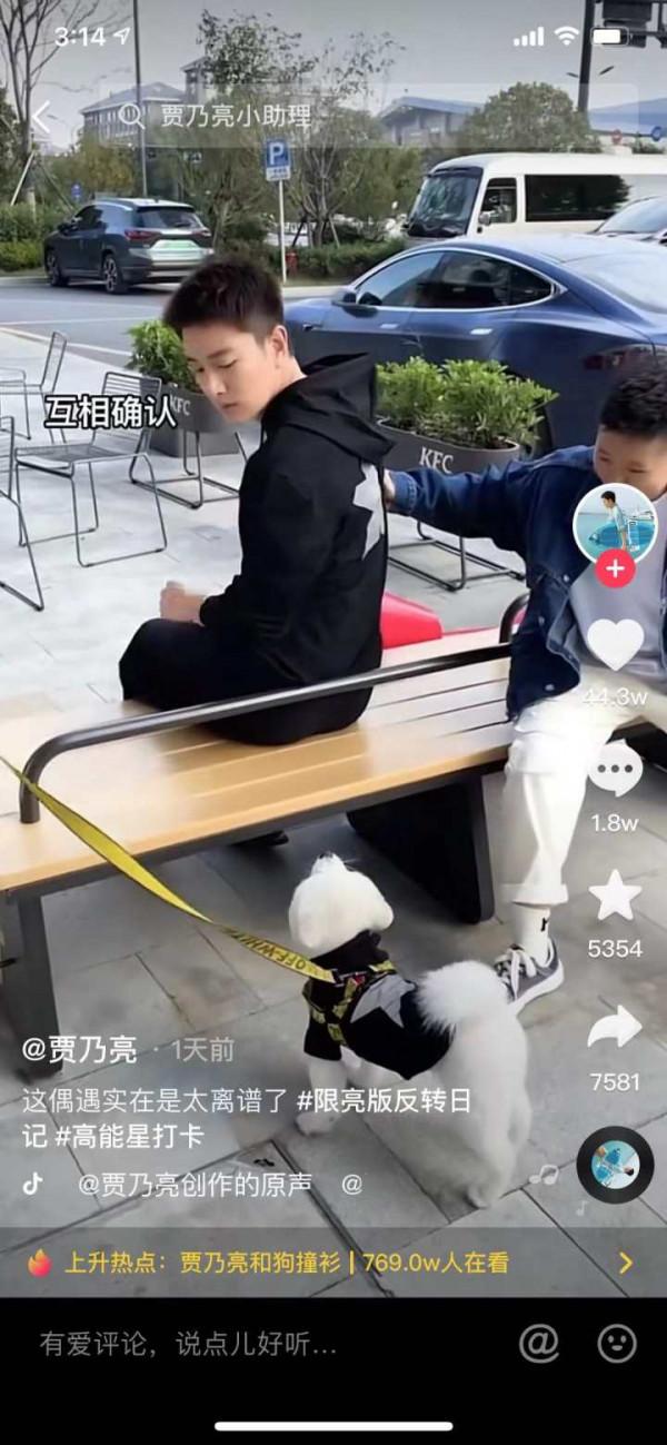 賈乃亮和狗狗撞衫影片衝上熱搜，城管回應：影片中未按規定時間遛犬不妥