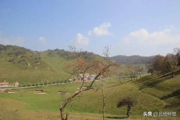 分享一組關山牧場的原生態秋景 分享一組關山牧場的原生態秋景