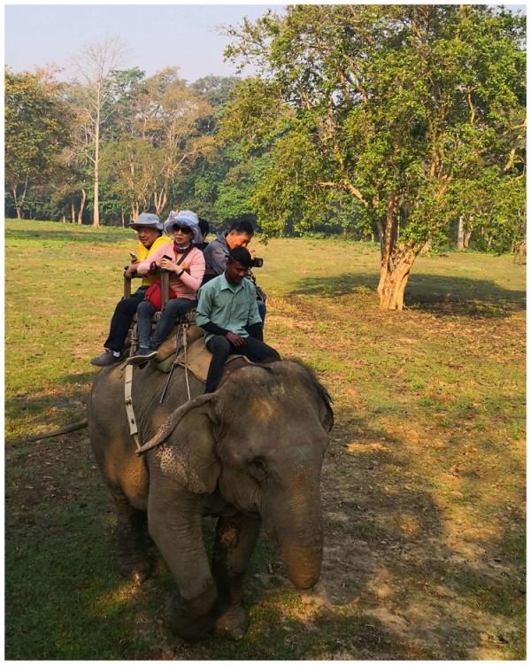 這些尼泊爾的冷知識，你確定都知道嗎？