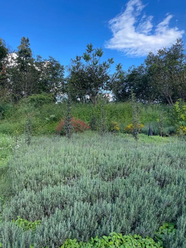 在大理開家民宿，是一種怎樣的體驗？