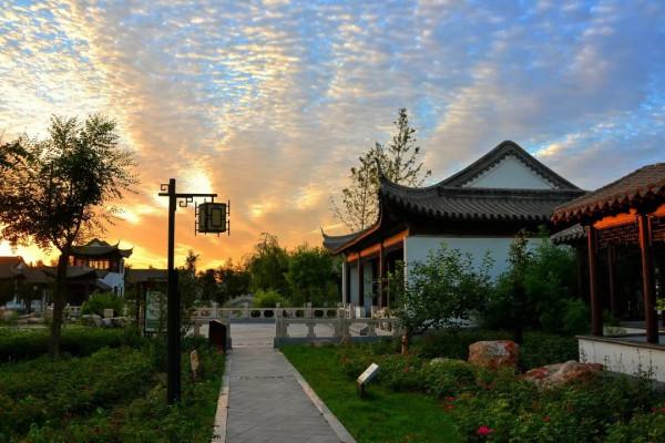 北京大興區冷門公園,有大片盛開的紫藍色薰衣草,免費對遊人開放 北京大興區冷門公園,有大片盛開的紫藍色薰衣草,免費對遊人開放