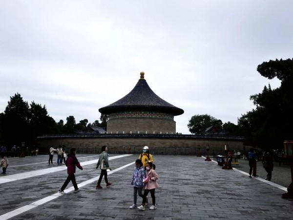 天壇公園的小松鼠 天壇公園的小松鼠