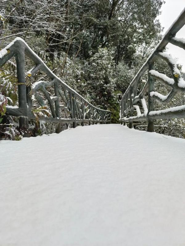 2022初雪降臨！冰墩墩驚喜亮相龍虎山