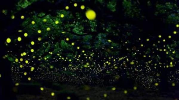 十二星座2022年運勢