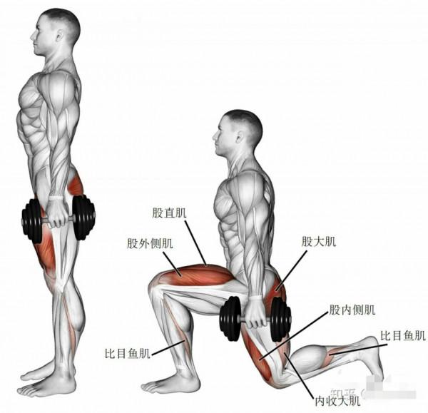 健身器材篇(槓鈴,啞鈴) 健身器材篇(槓鈴,啞鈴)