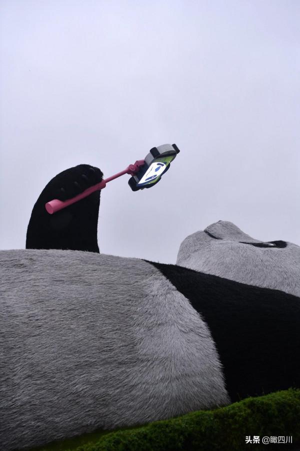 “大黃鴨之父”在中國建了座全球最重大熊貓雕塑:130噸重26米長 “大黃鴨之父”在中國建了座全球最重大熊貓雕塑:130噸重26米長