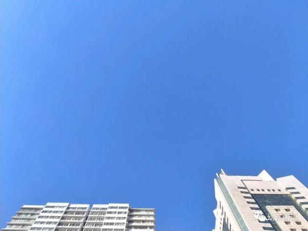 小狗歡歡生病記 小狗歡歡生病記