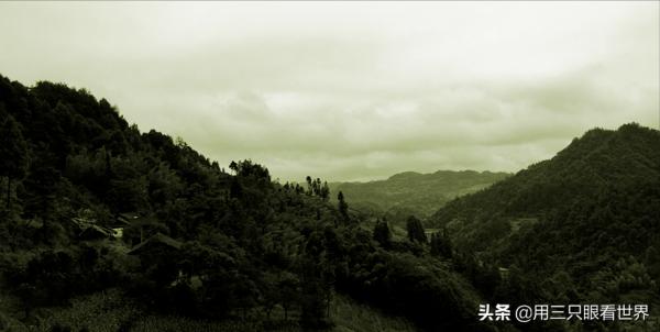 「知青往事」我這大半輩子…… 一個女知青的曲折經歷 「知青往事」我這大半輩子…… 一個女知青的曲折經歷