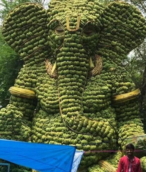 34張罕見的照片,老虎被訓得動都不敢動,小狗指揮主人倒車 34張罕見的照片,老虎被訓得動都不敢動,小狗指揮主人倒車