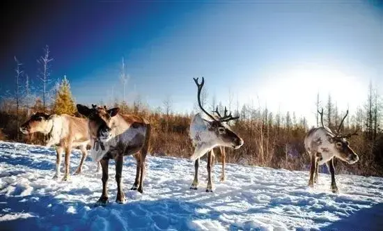 國內這10個絕美的旅行地，去過5個就是旅行達人，你去過幾個呢？