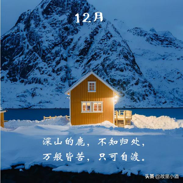 令人愜意的句子：春觀夜櫻，夏望繁星，秋賞滿月，冬會初雪