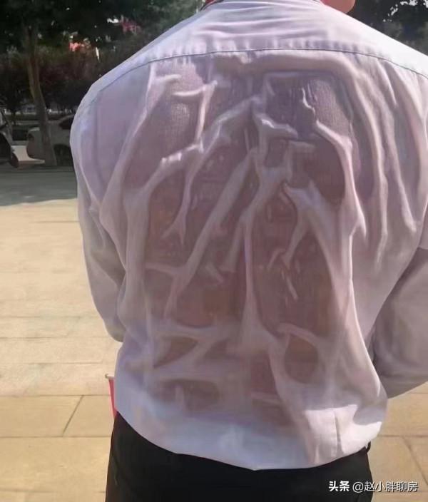 價值和認知 價值和認知