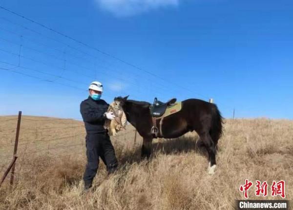 “萌禽”受傷 民警暖心救助