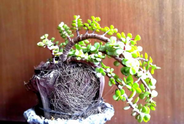 不捨，也是一種貪&hellip;&hellip;