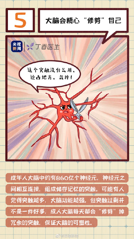 get冷知識！人的腦袋裡真的有水