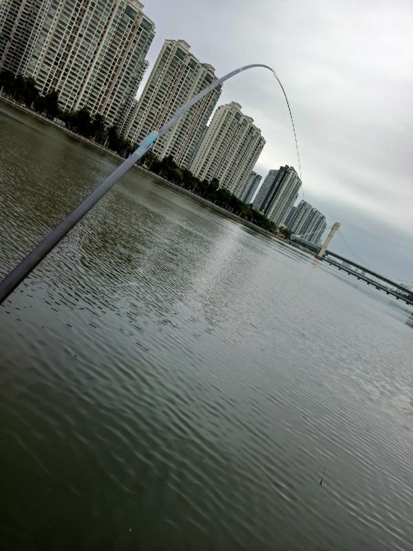 早起的鳥兒有蟲吃，晨釣提竿遛大魚&hellip;&hellip;