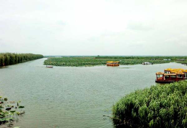 2016年安徽工人挖到人骨，警察迅速封鎖現場，一枚打火機幫了大忙