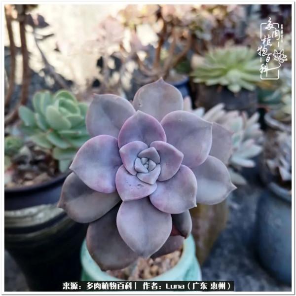 學會和解:與自己、與他人、與世界 學會和解:與自己、與他人、與世界