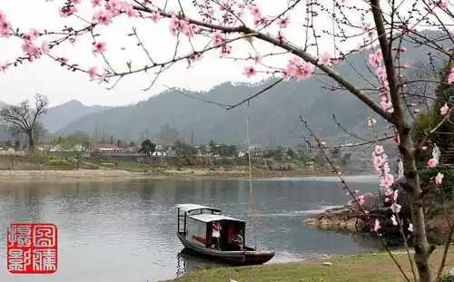 106張照片，美到眼睛移不開