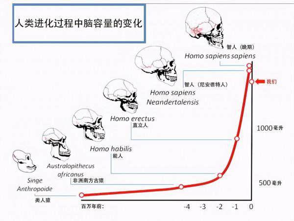 醫學、一夫一妻導致自然選擇失效,人類進化停止?研究:正在加速 醫學、一夫一妻導致自然選擇失效,人類進化停止?研究:正在加速