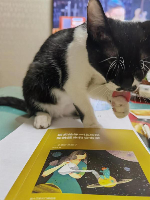 母女兩的抗抑（3）